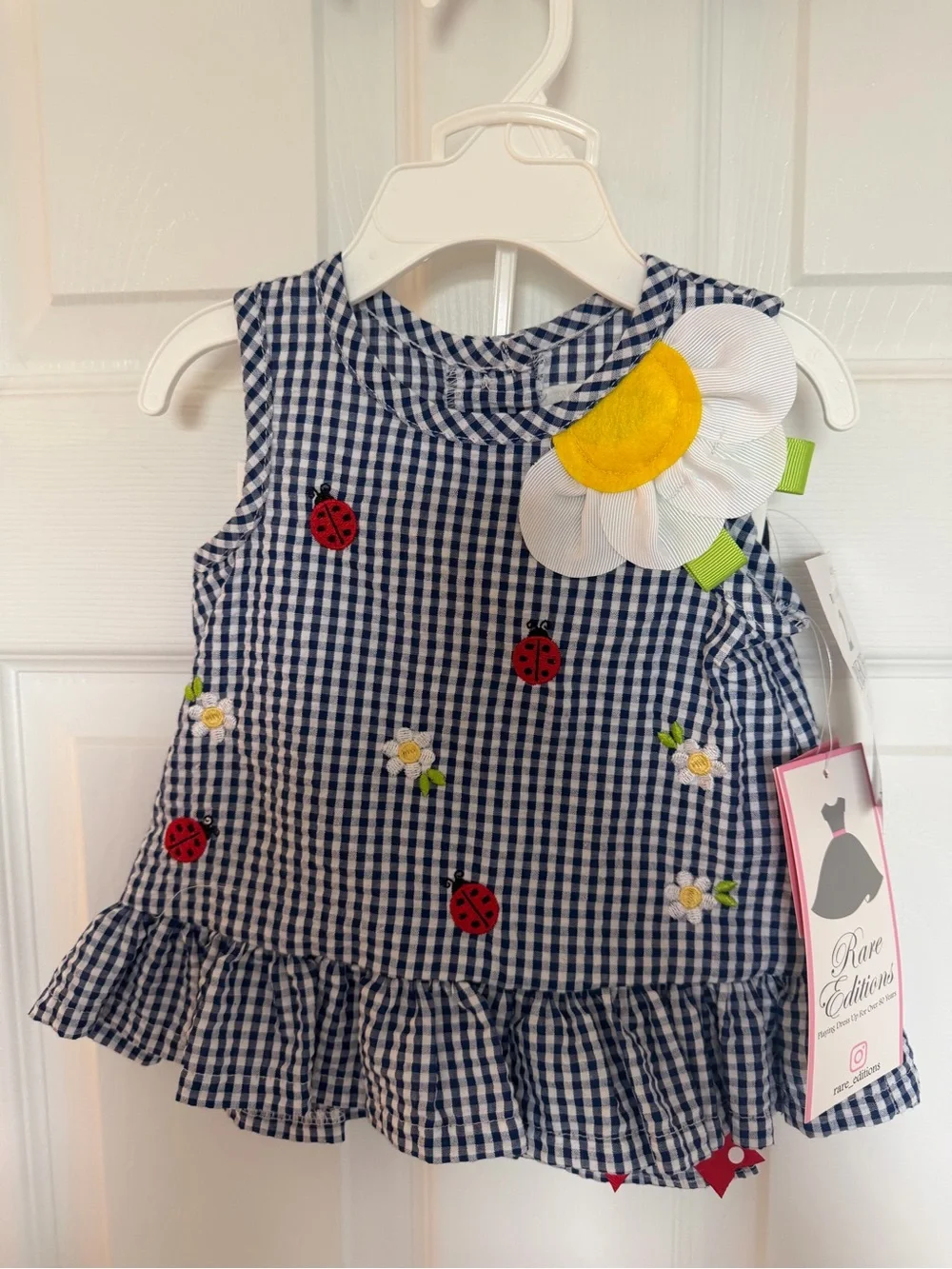 Rare Editions Navy Gingham Tank and Leggings with Red Ladybugs and White Daisy
